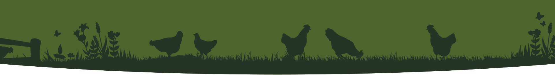 Graaseieren header